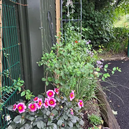 The * キラーニー