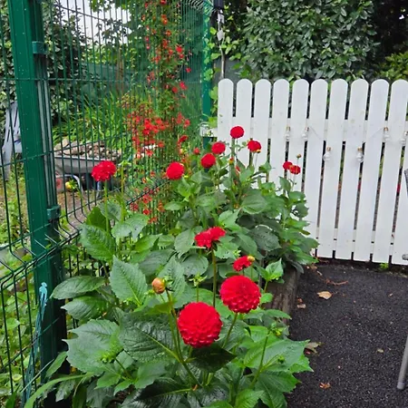 The Апартаменты Килларни