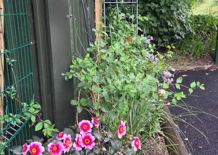 The * Κιλάρνεϊ