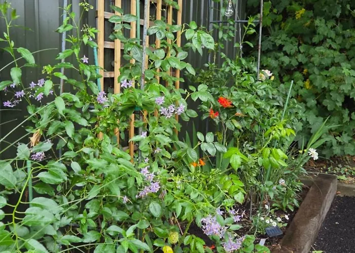 Διαμέρισμα The *