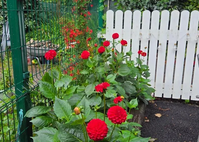 The Διαμέρισμα Κιλάρνεϊ