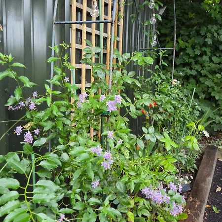 The Апартаменти *