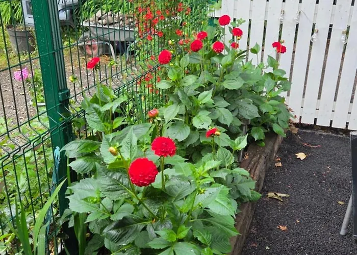 The Апартаменти